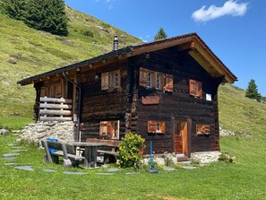 Exteriör