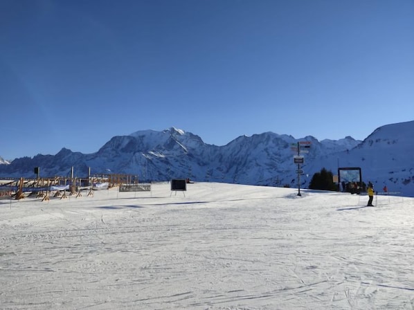 Sneeuw- en skisporten