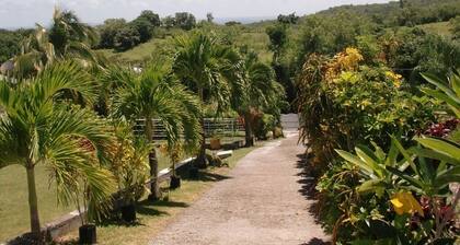 Villa au Diamant avec vue imprenable et grand jardin tropical