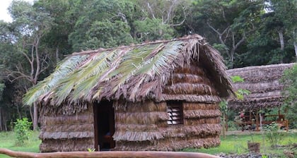 Hoceleny