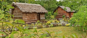 Hoceleny