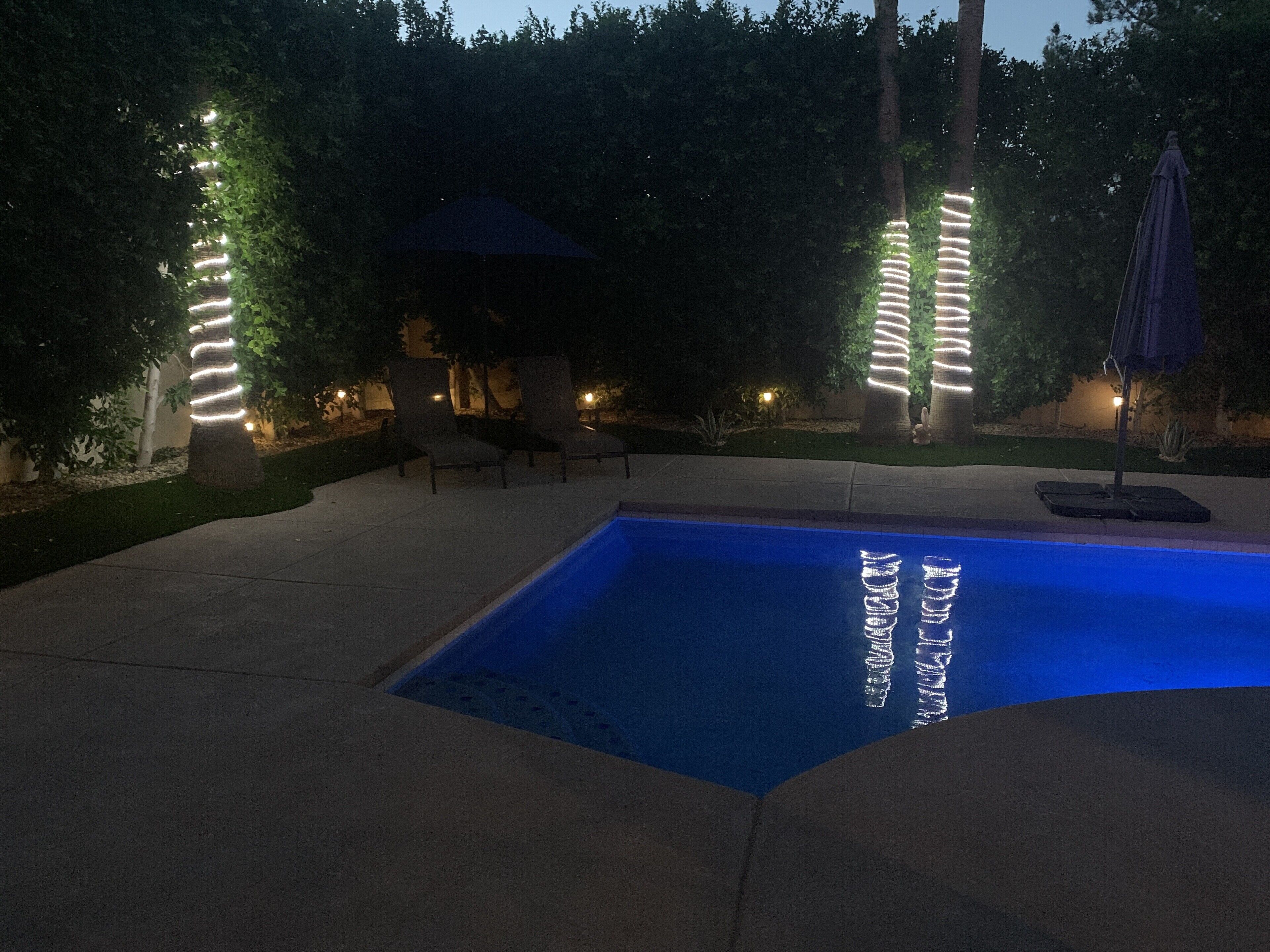 Modern lighting on palm trees