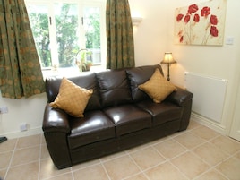 Flat-screen TV, DVD player