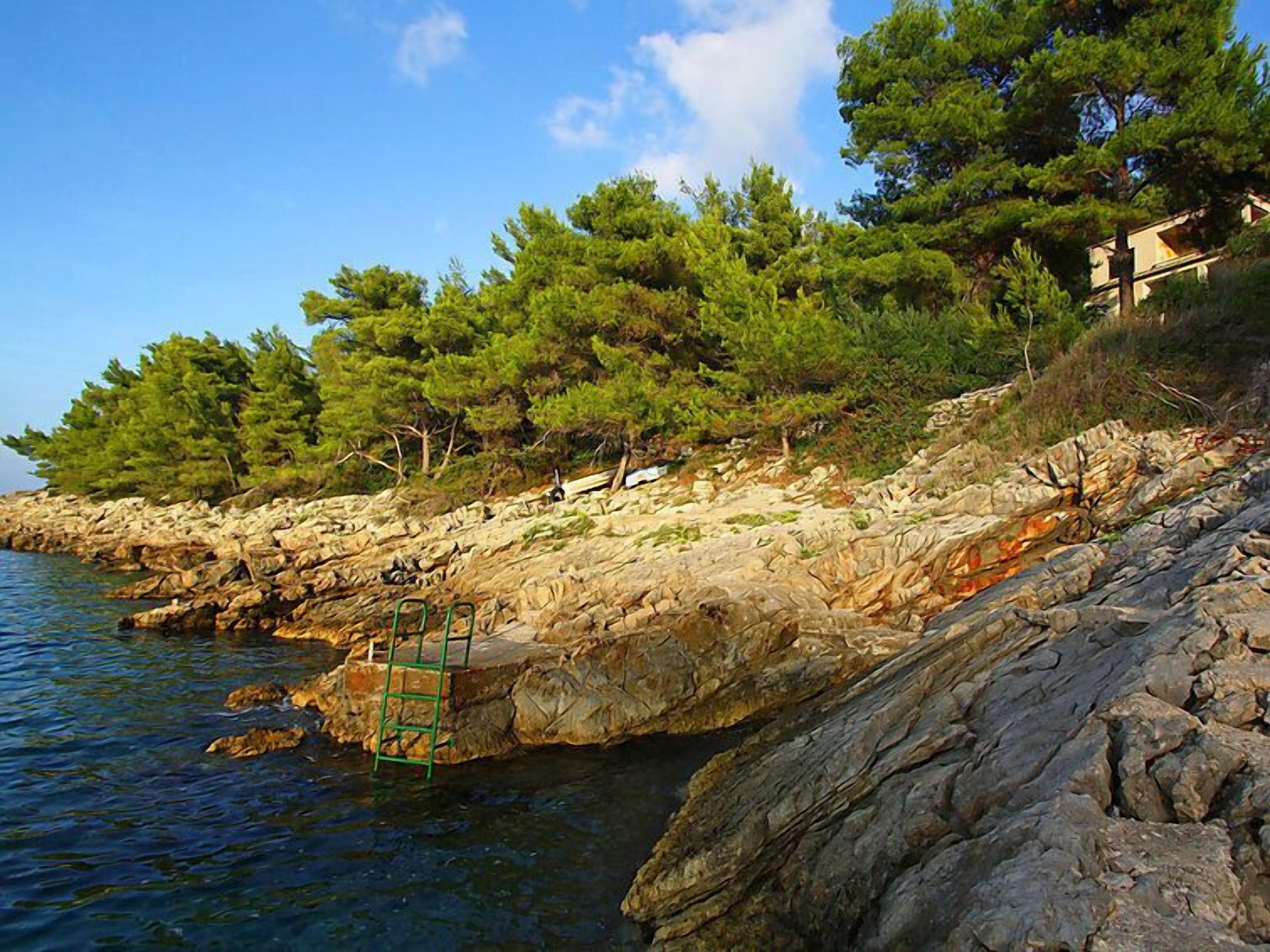 Una costa rocosa con una escalera que desciende al agua, rodeada de árboles verdes frondosos y un cielo azul despejado.