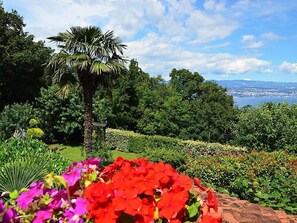 A garden with various plants and flowers, a palm tree, and a view of a cityscape in the background.