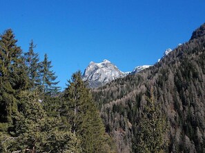 A mountainous landscape with dense forests and a prominent peak in the background. - La Busa by Interhome (Alleghe)