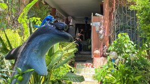 Un jardín con una gran escultura de delfín, una entrada con mosaicos y diversas plantas.