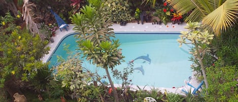 Piscina externa