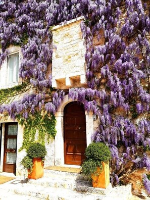 A building with a stone facade, a wooden door, and purple flowering vines covering the walls. - Parco dei Manieri (Conversano)