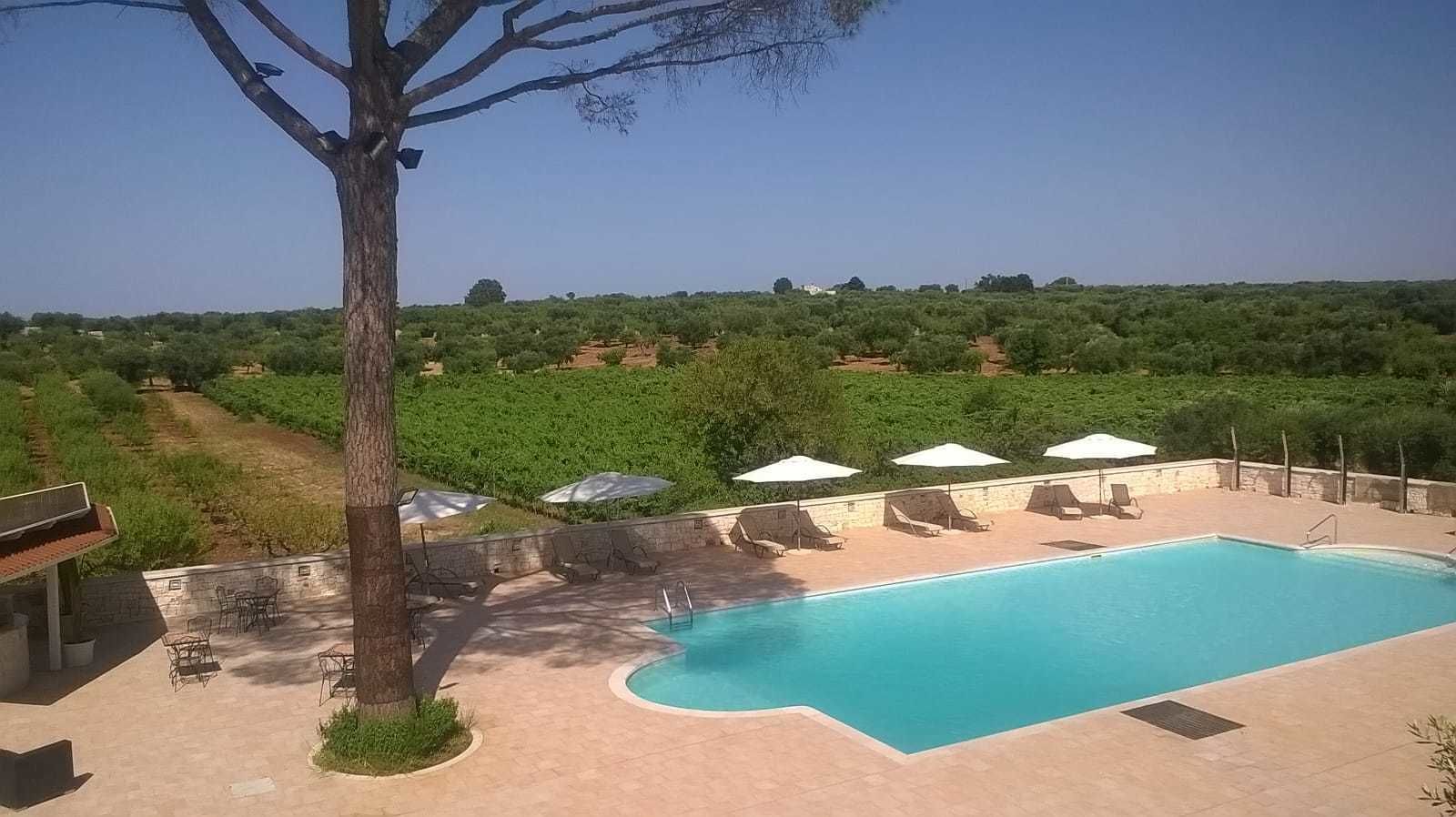 Una piscina al aire libre, sombrillas, tumbonas