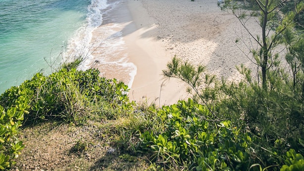 Una playa con aguas turquesas cristalinas, orilla arenosa y vegetación exuberante.