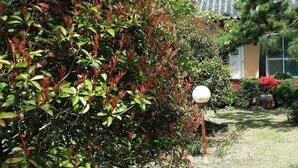 Un jardin avec un sentier, des plantes en pot et un bâtiment doté d’un toit traditionnel.