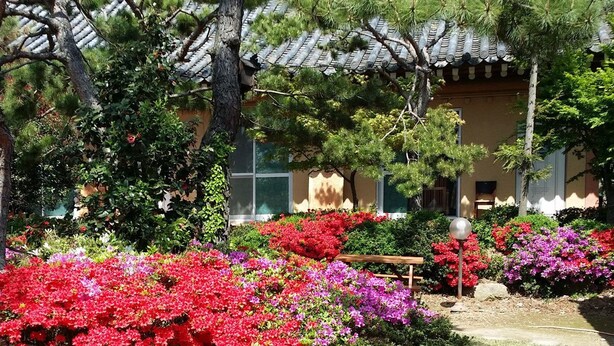 Un bâtiment traditionnel, doté d’un toit en tuiles, entouré d’une végétation luxuriante et de fleurs aux couleurs vives.