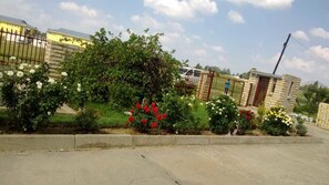 Garden - Lapeng Habo Bantu (Mafeteng)