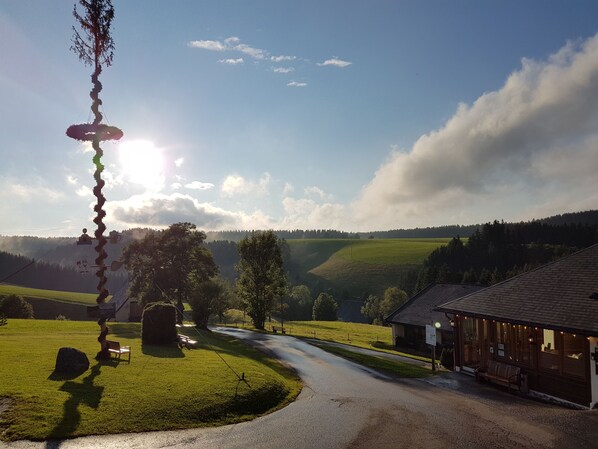 A rural road leading to a wooden building with a porch, surrounded by green fields and trees. - Landhotel Thälerhäusle Ochsen (Furtwangen)
