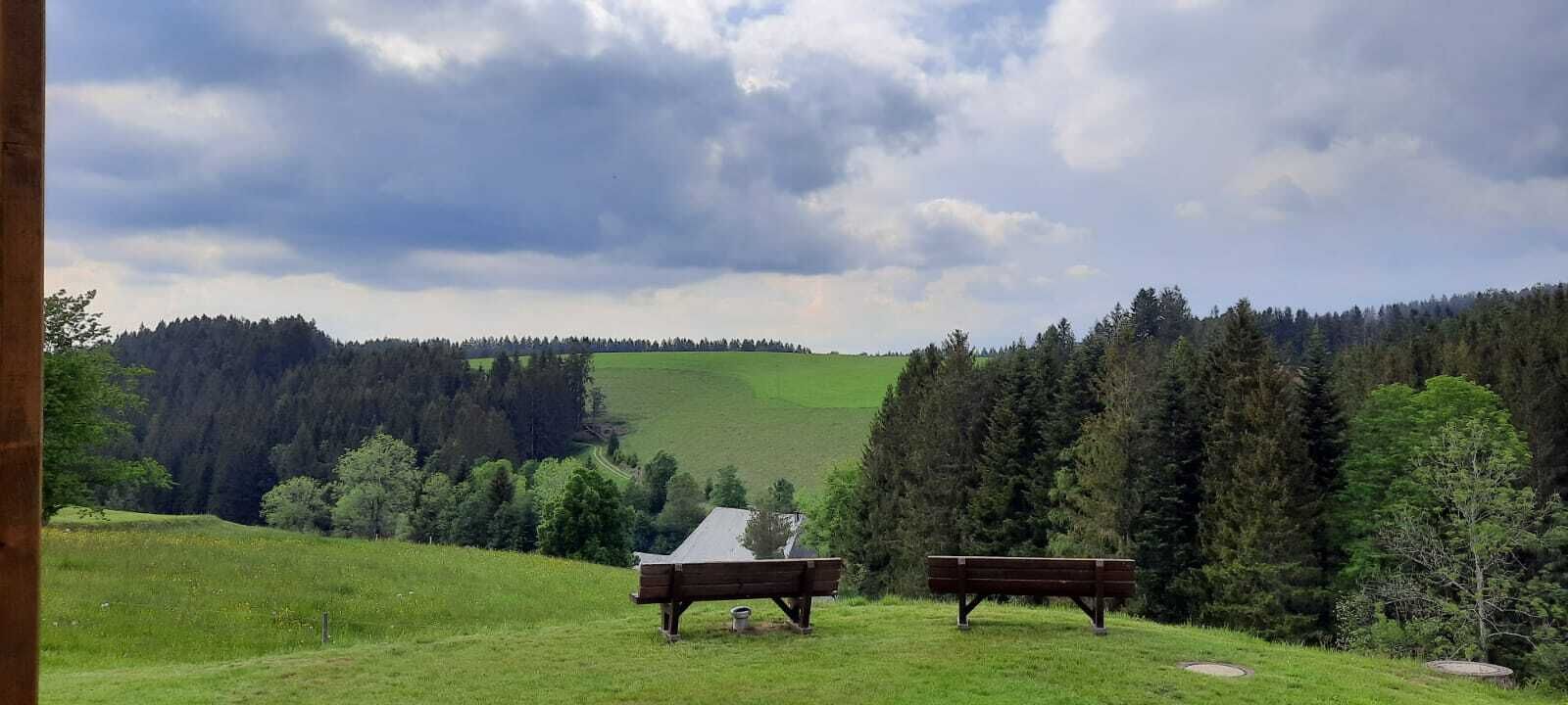 Een bank en een picknicktafel in een grasveld, met een bebost heuvel op de achtergrond.