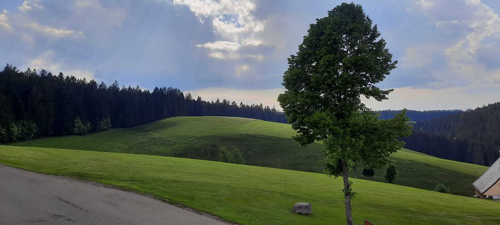 Un paisaje rural con una carretera, una colina con un árbol y un edificio a lo lejos.