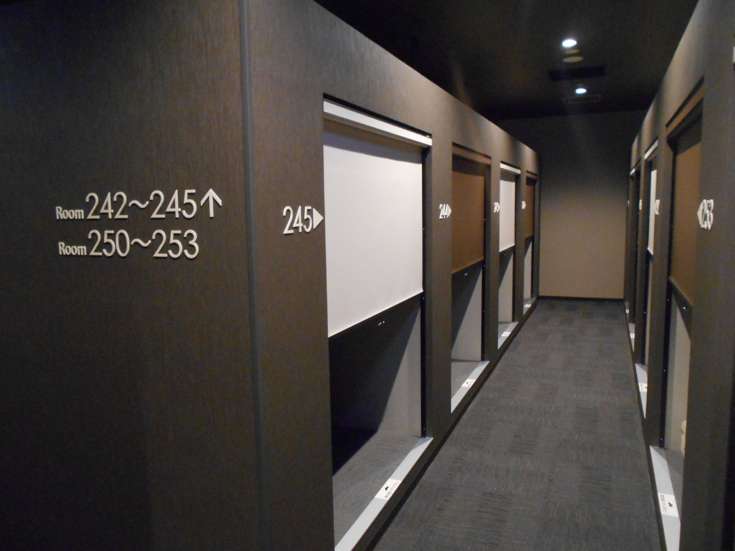 A hotel hallway with room numbers 242-245 and 250-253.