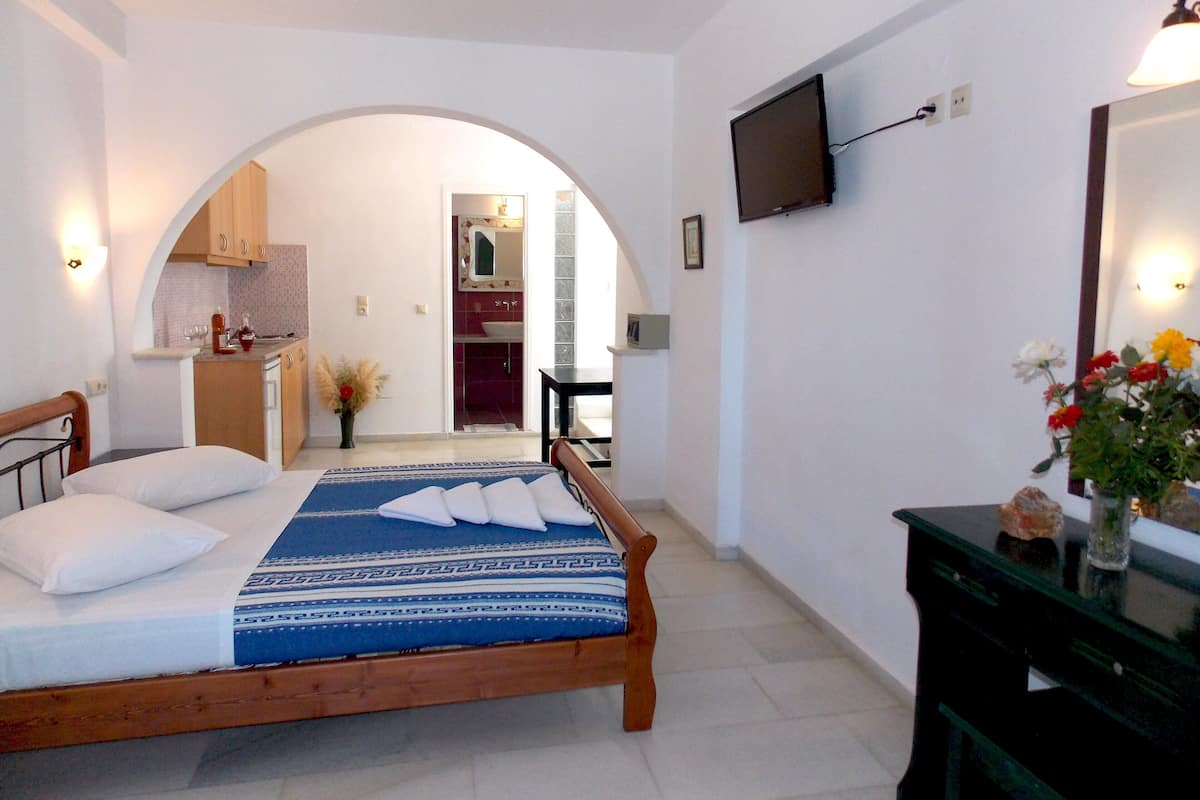 A bedroom with a wooden bed, a TV mounted on the wall, and an arched doorway leading to a bathroom.