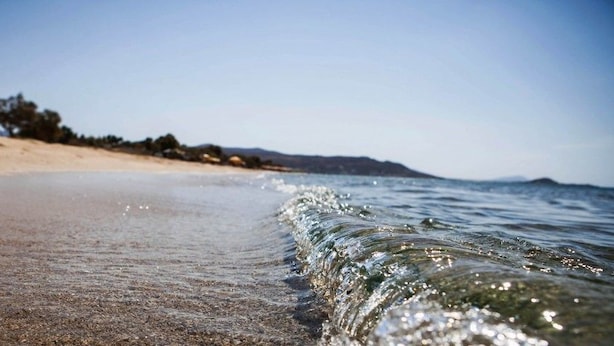 Una playa con agua cristalina, orilla arenosa y árboles a lo lejos.