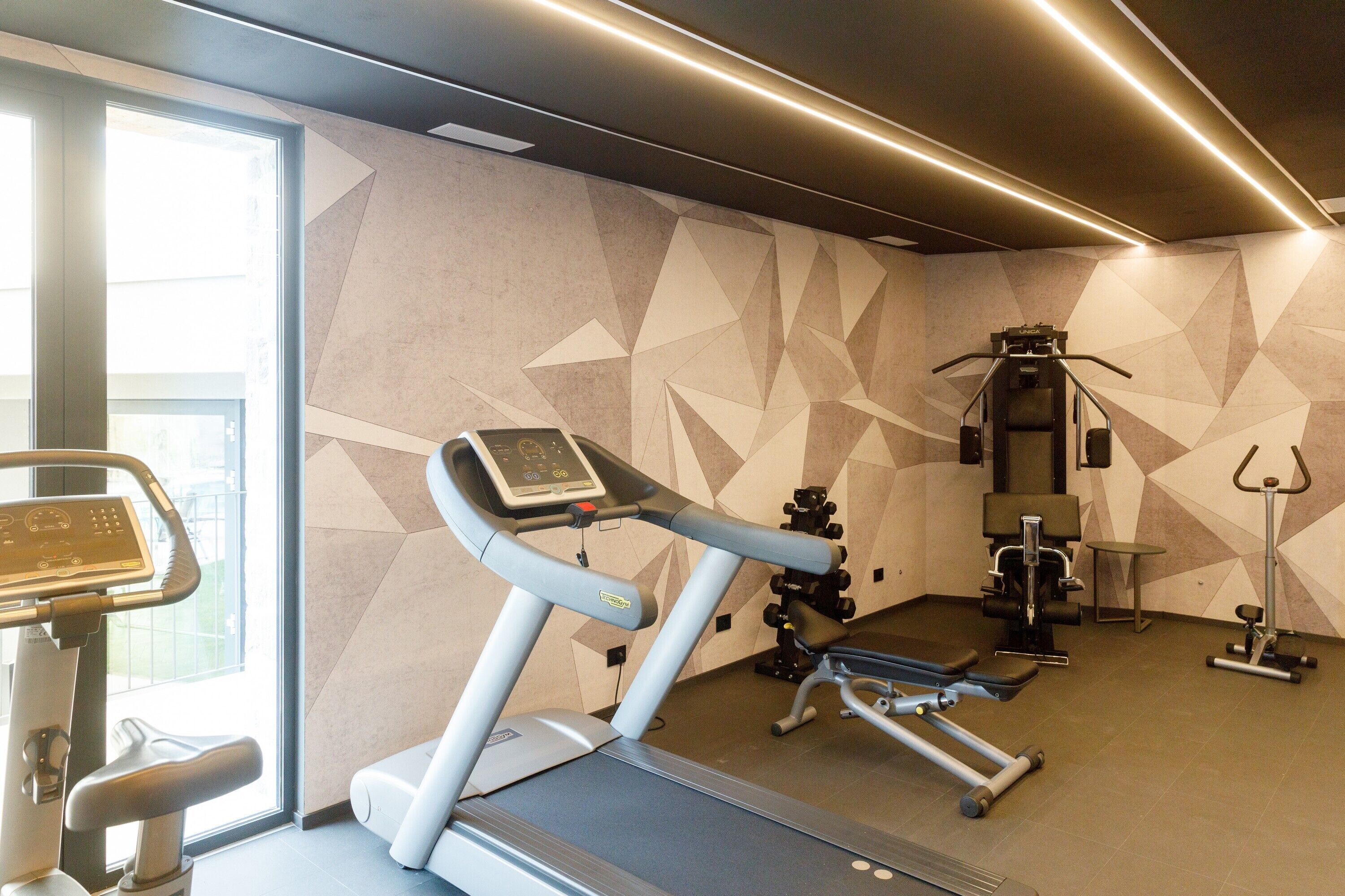 A gym with a treadmill, elliptical, and weight machines.