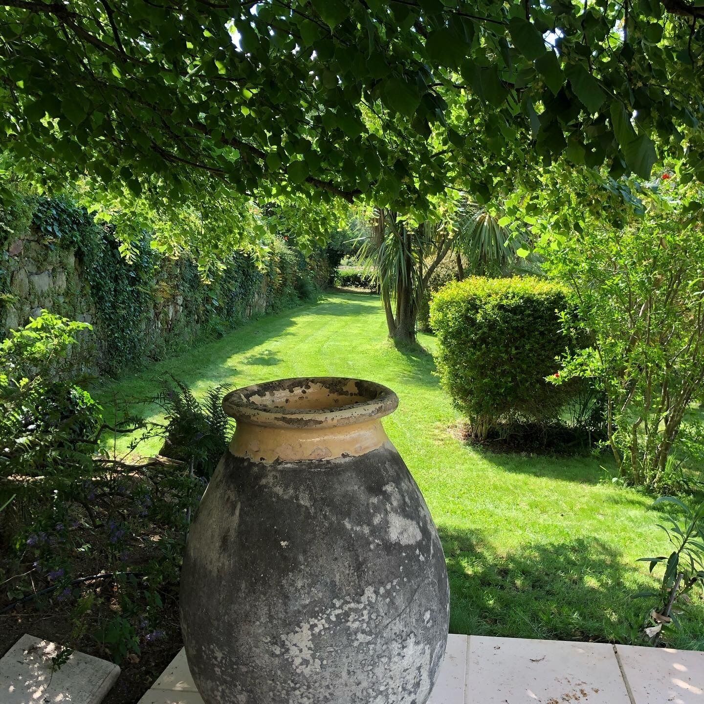 A garden with a large, weathered pot in the foreground, surrounded by lush greenery and a well-maintained lawn.