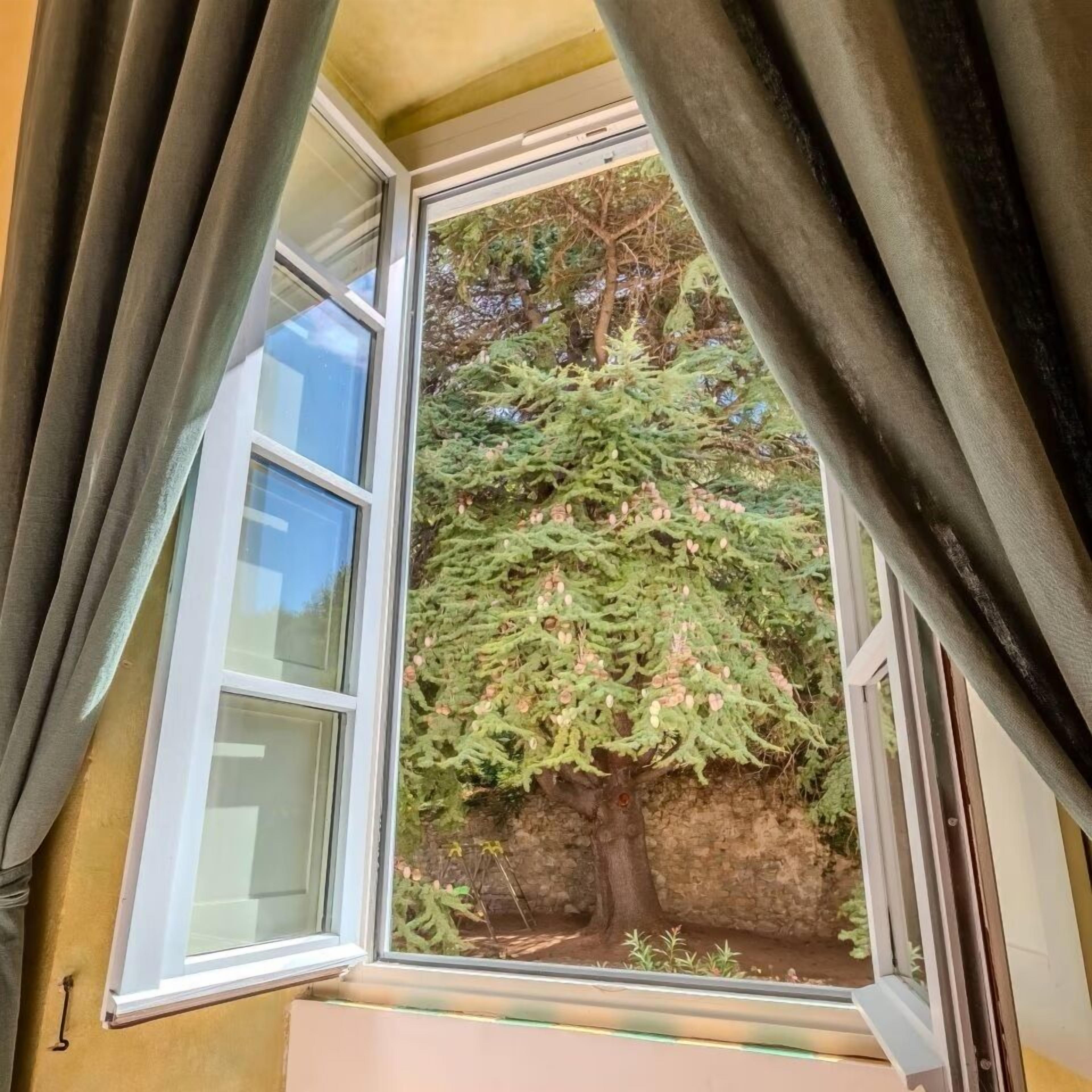 A window with a view of a tree and a stone wall.