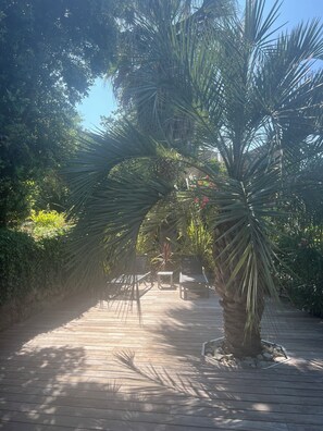 Una terraza de madera con palmeras y un banco.