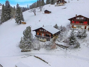 Exterior - Jungfrau a d Ledi by Interhome (Wengen)