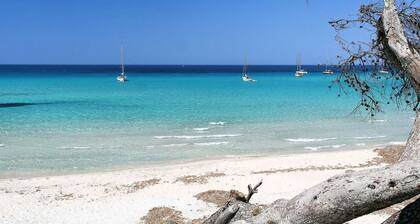 Vacation home Nonza by Interhome