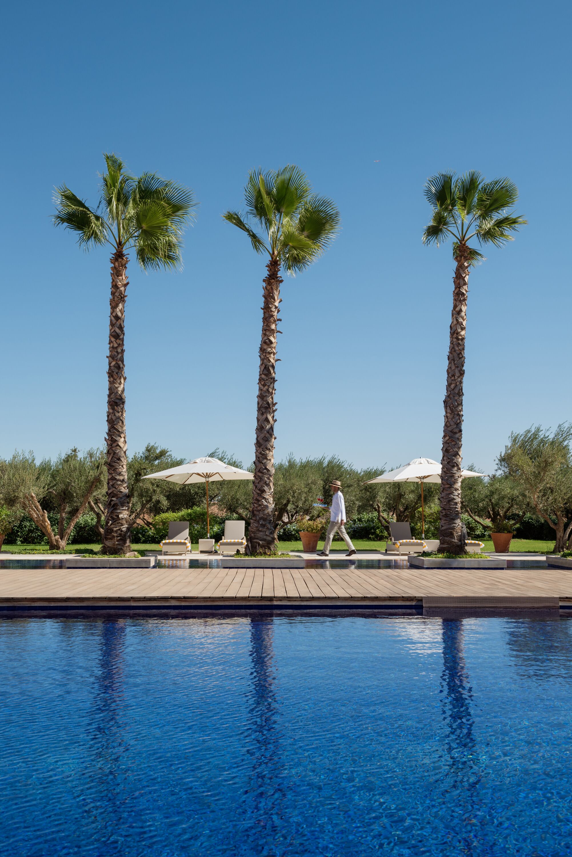 A poolside area with palm trees, lounge chairs, and umbrellas.