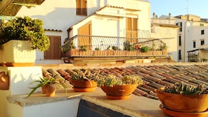 A rooftop terrace with terracotta planters containing various succulents and a potted plant. - Casa Celeste Sperlongaresort (Sperlonga)
