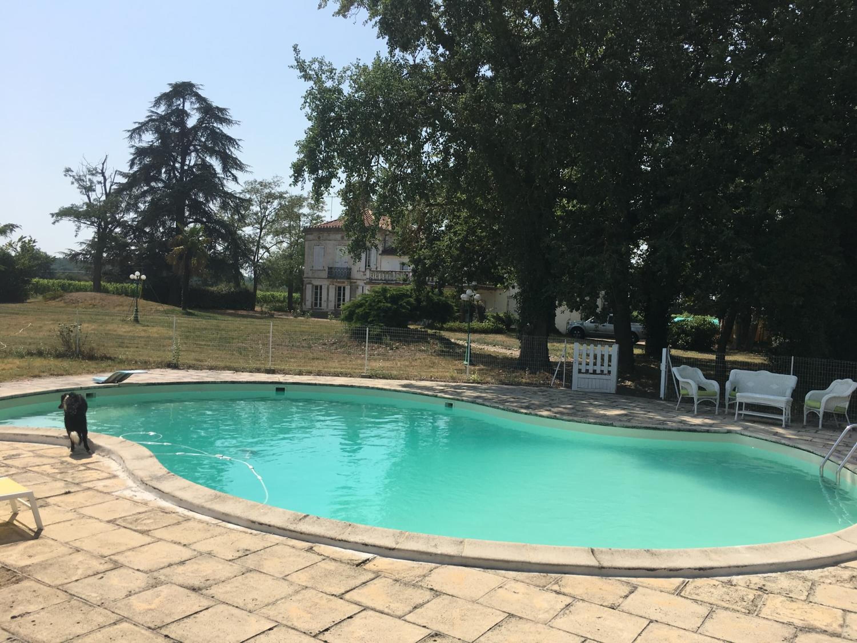 季节性开放的室外游泳池，10:00 至 19:00 开放，日光浴躺椅