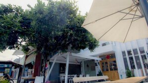 An outdoor seating area with tables and umbrellas, surrounded by buildings and a tree. - Mayhow Donghe - Hostel (Donghe)