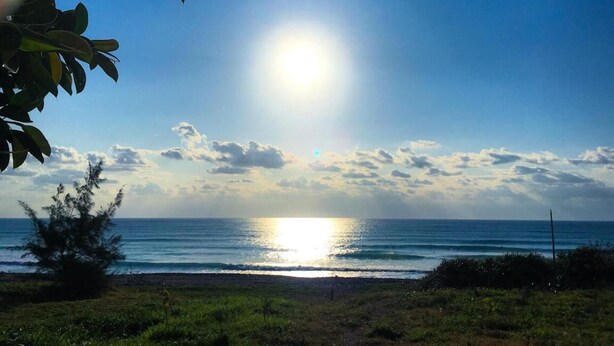 A beach with the sun reflecting on the water, a clear sky, and some greenery in the foreground. - Mayhow Donghe - Hostel (Donghe)