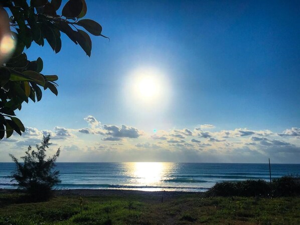 A strandtól nem messze