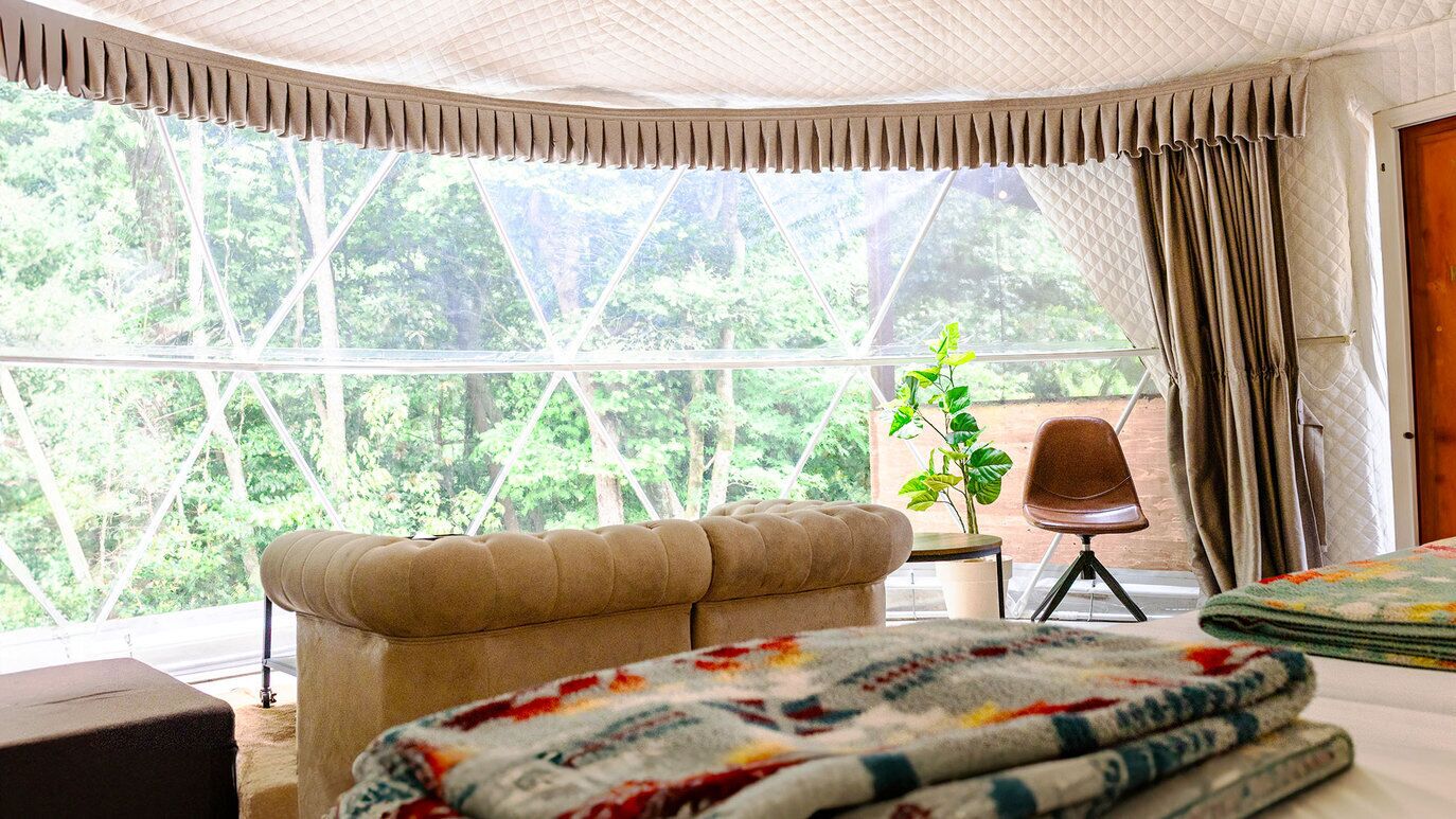 Una habitació amb un finestral gran, un sofà, una cadira i una planta.