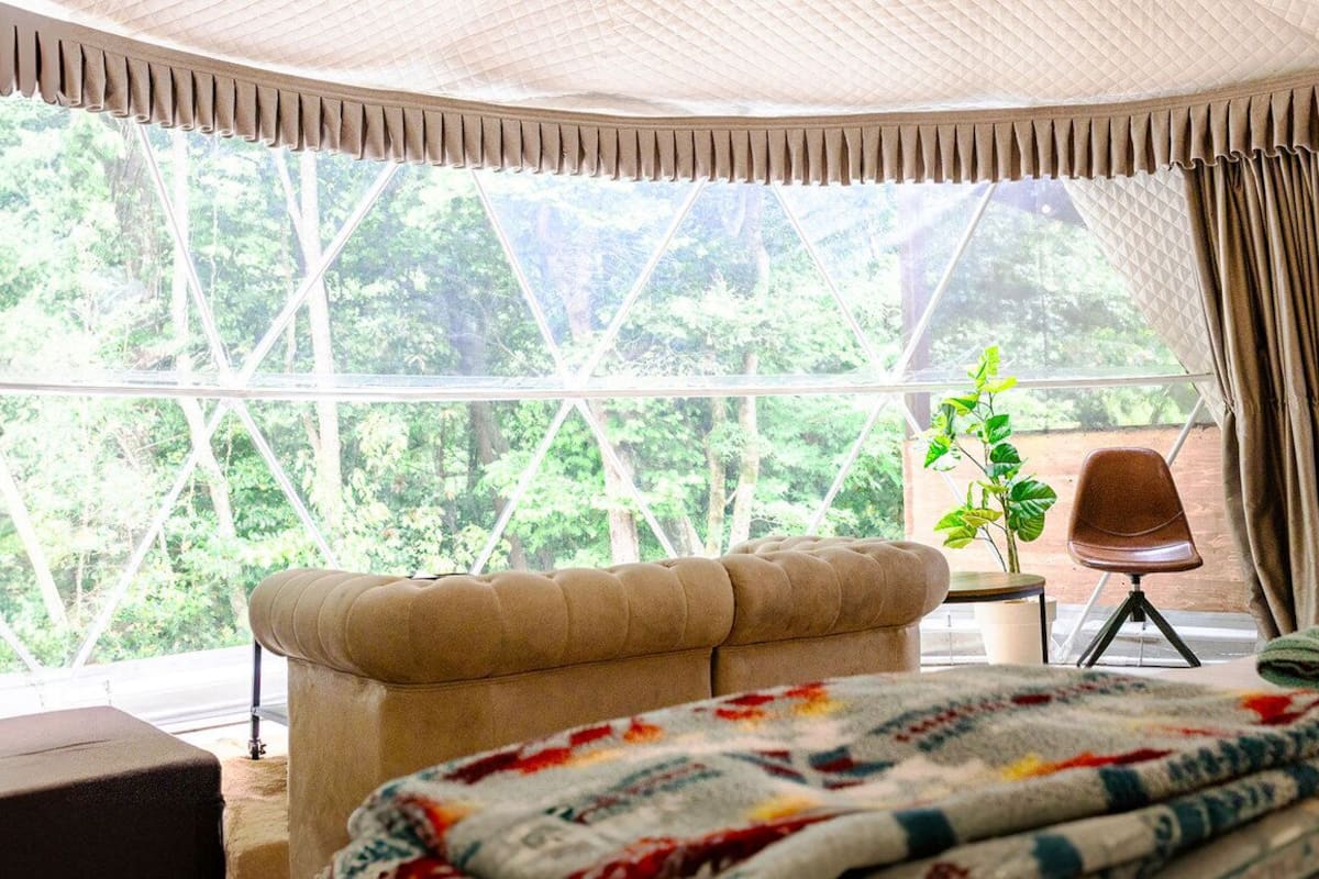 A room with a large window, a sofa, a chair, and a plant.