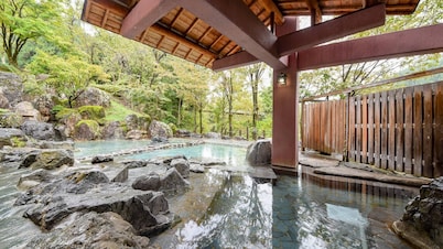 Yunotani Onsenkyo Hotel Yunotaniso