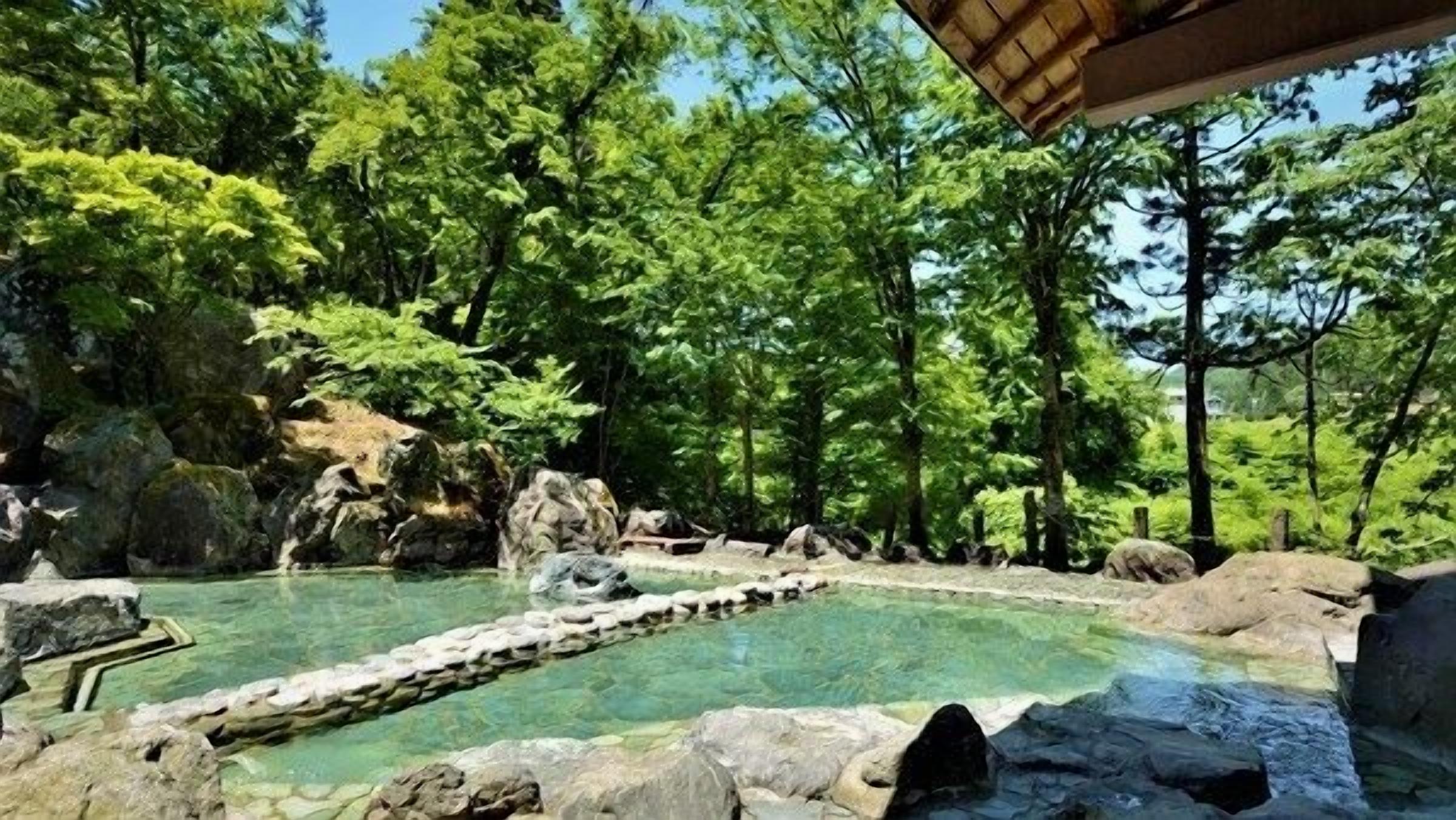 A natural hot spring surrounded by rocks and trees.