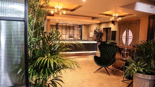 A modern hotel lobby with a reception desk, a green upholstered chair, and potted plants. - The Lansdowne Hotel (Belfast)