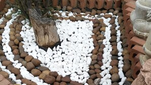 A garden with a heart-shaped arrangement of white and brown pebbles, a tree, and a brick border. - Lapeng Home Away from Home (Maseru)