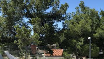 Piscina con sillas de descanso, rodeada de árboles y un cielo despejado.