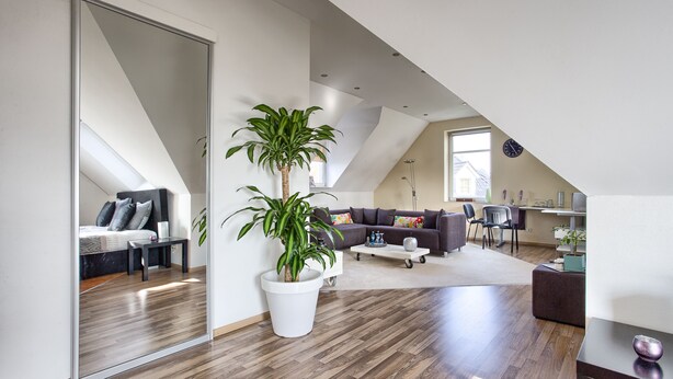 A spacious living room with a large mirror, a potted plant, a sofa, and a coffee table. - Villa Eltins (Bad Bentheim)