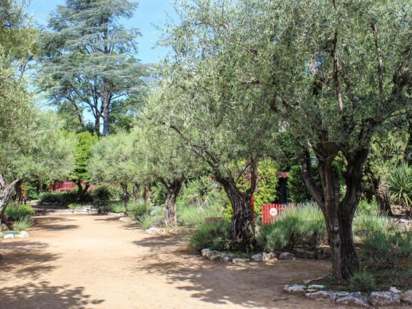 Terrein van de accommodatie