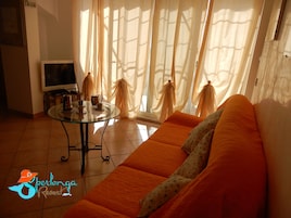 TV, lettore DVD