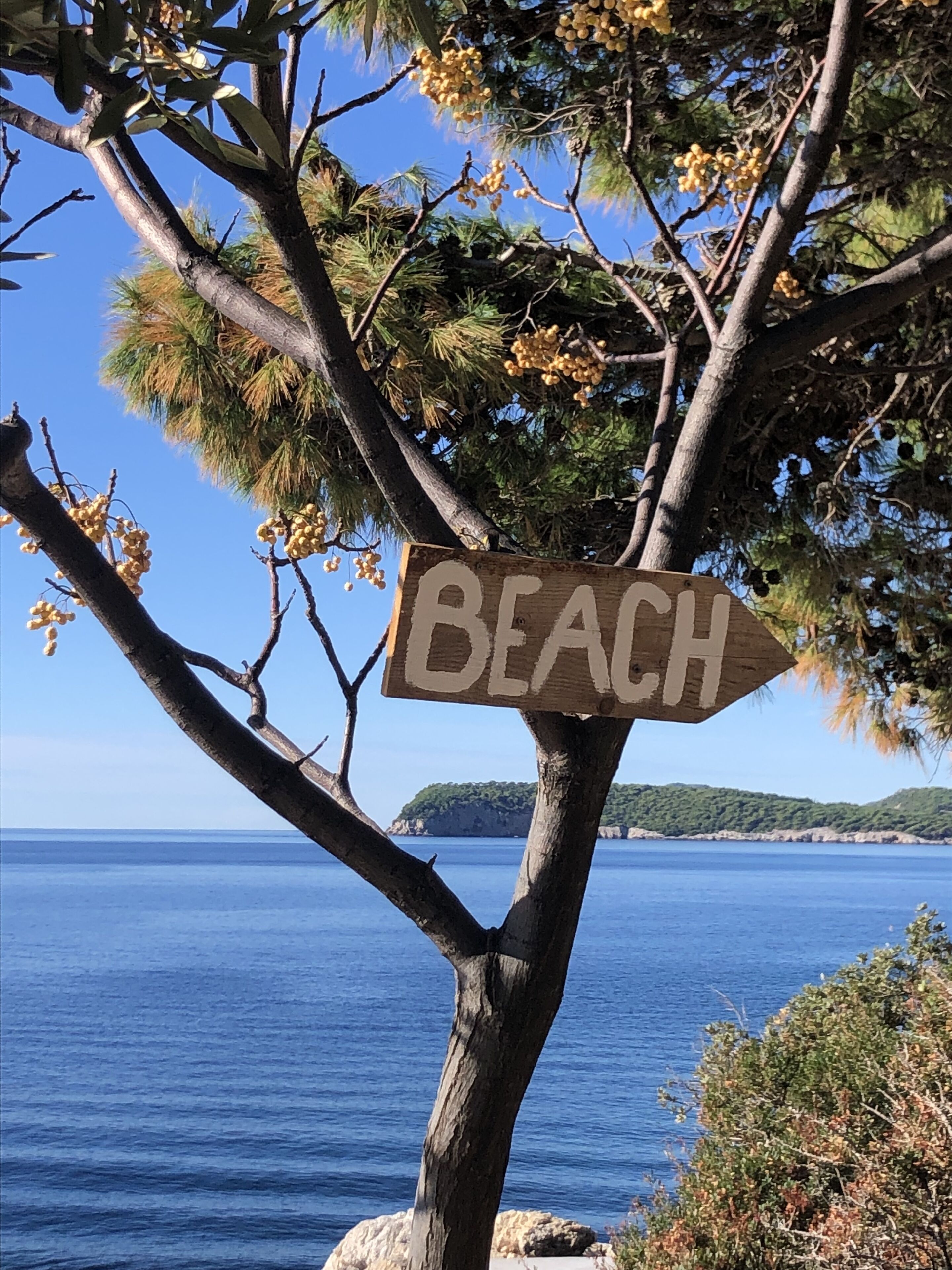 Foto - Villa Anica Dubrovnik - luxurious with a sea view