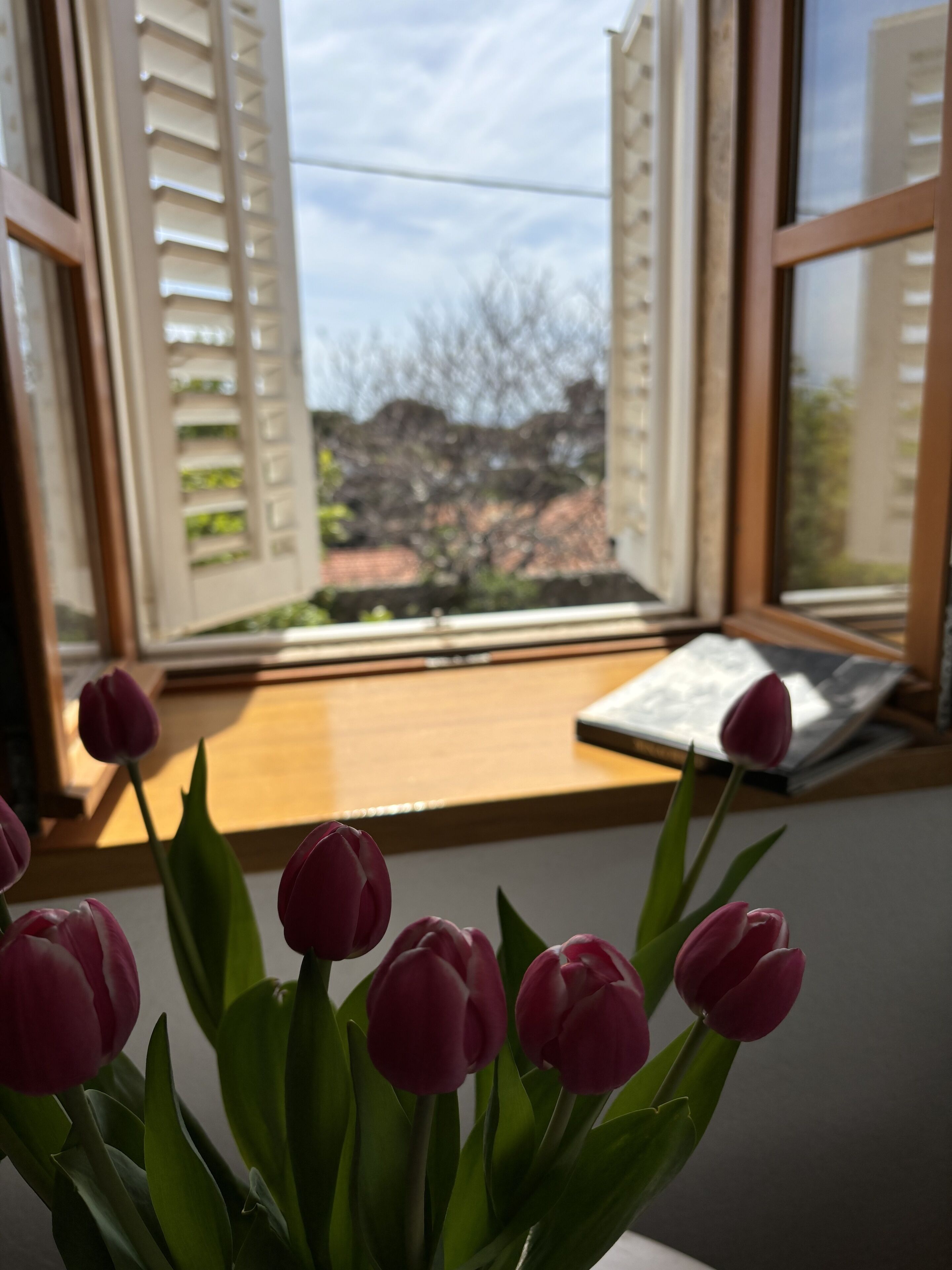 Foto - Villa Anica Dubrovnik - luxurious with a sea view