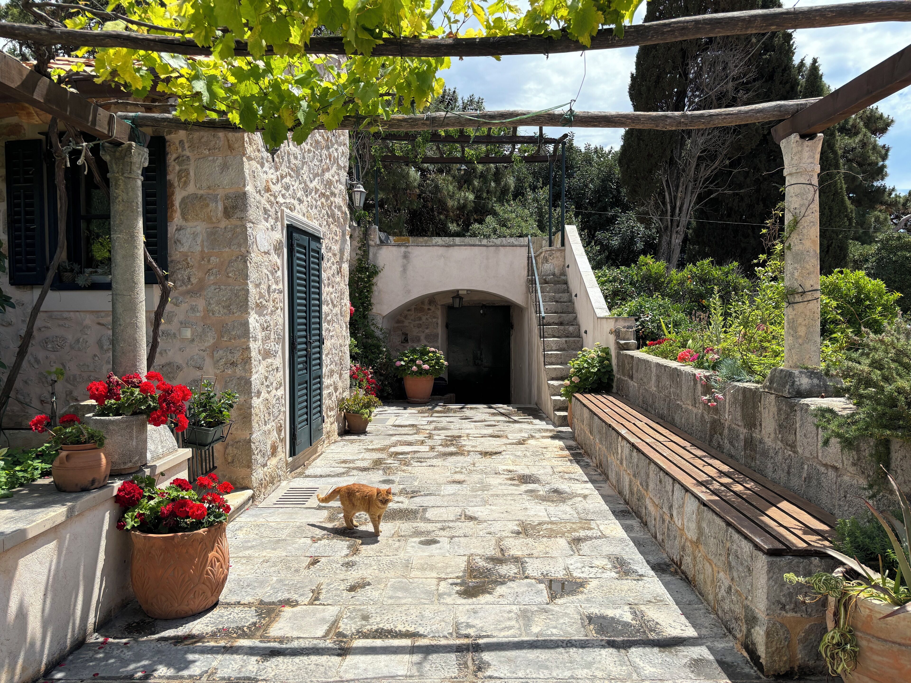 Foto - Villa Anica Dubrovnik - luxurious with a sea view