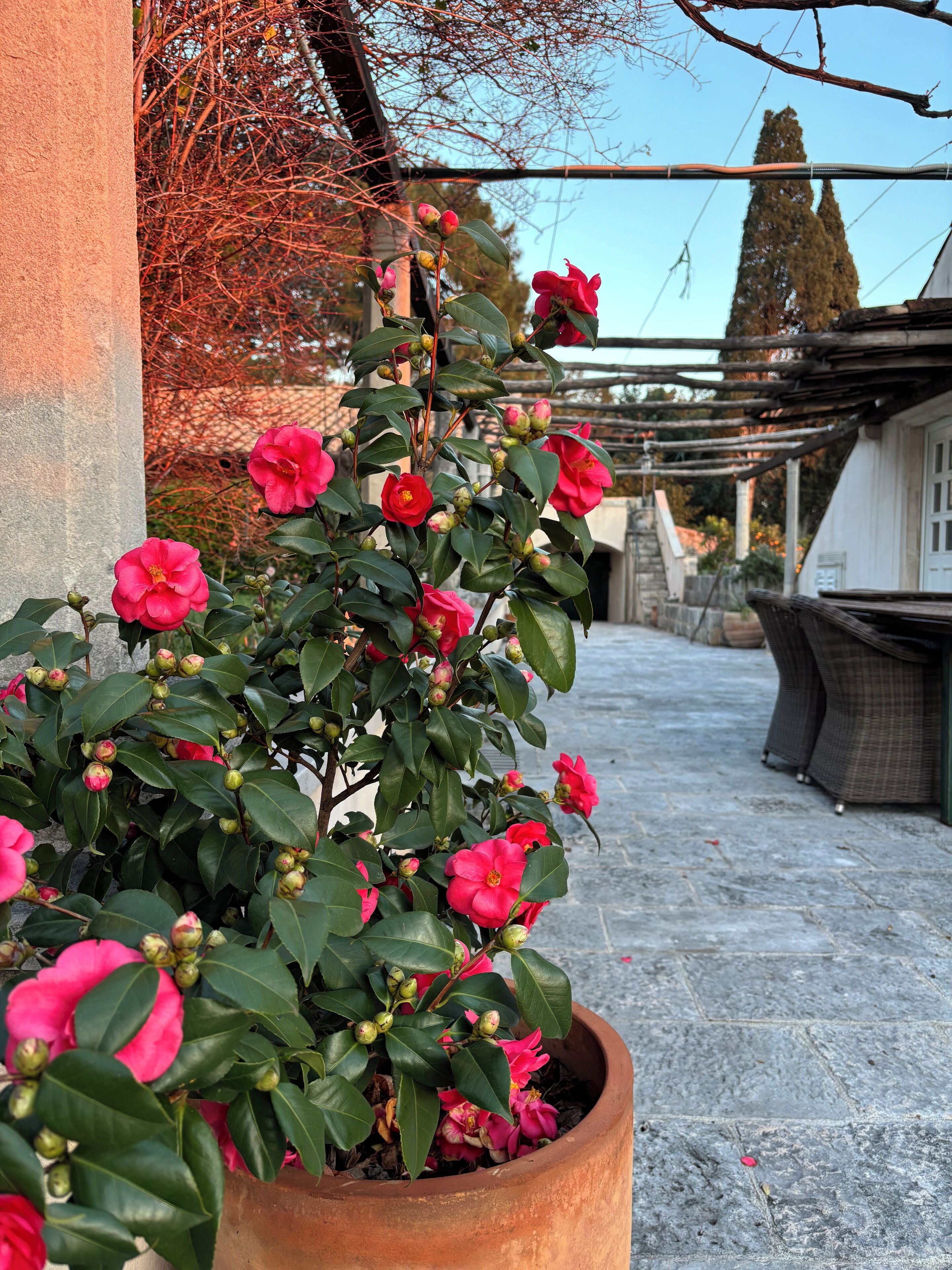 Foto - Villa Anica Dubrovnik - luxurious with a sea view